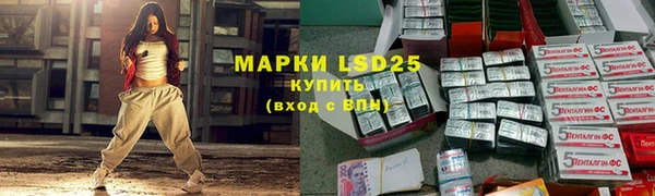 крисы Аркадак