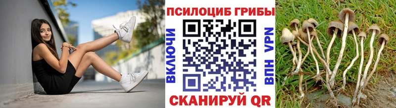 Галлюциногенные грибы мицелий Суоярви