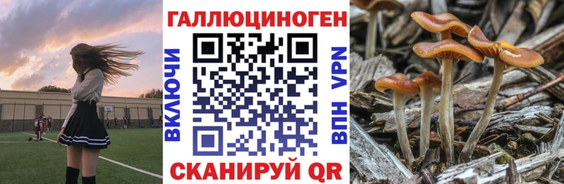 Галлюциногенные грибы MAGIC MUSHROOMS  Купить  Суоярви 