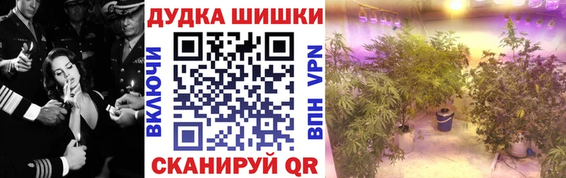 Купить закладки  Суоярви  Бошки Шишки LSD WEED 